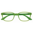Leesbril I Need You +3.00dtp Rainbow groen