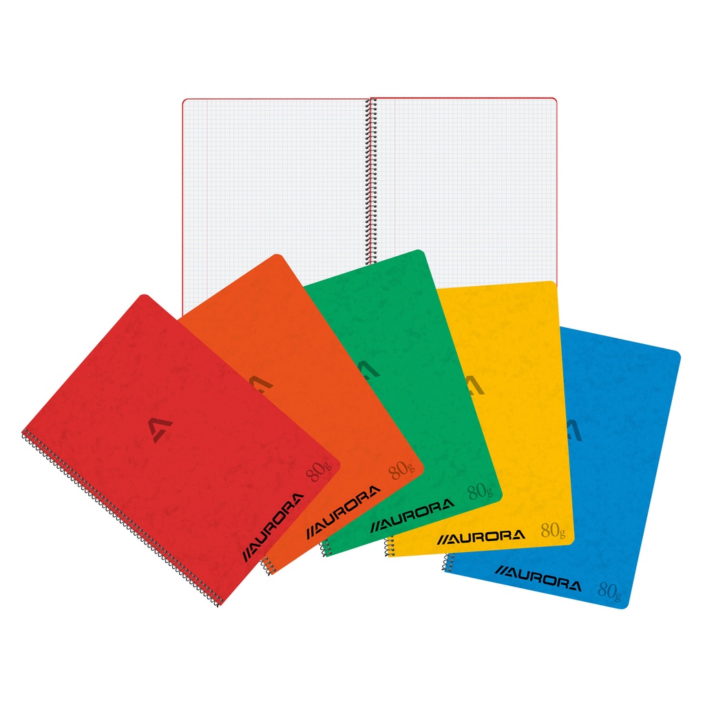 [2960KQ5] Schrift Aurora A4 ruit 5x5mm 120pag 80gr ass