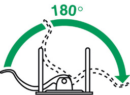 Product feature